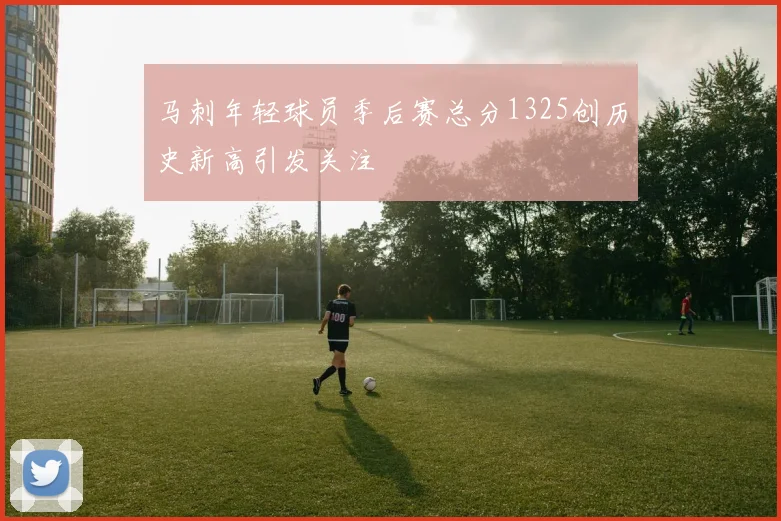 马刺年轻球员季后赛总分1325创历史新高引发关注